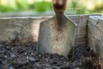 Trowel in soil