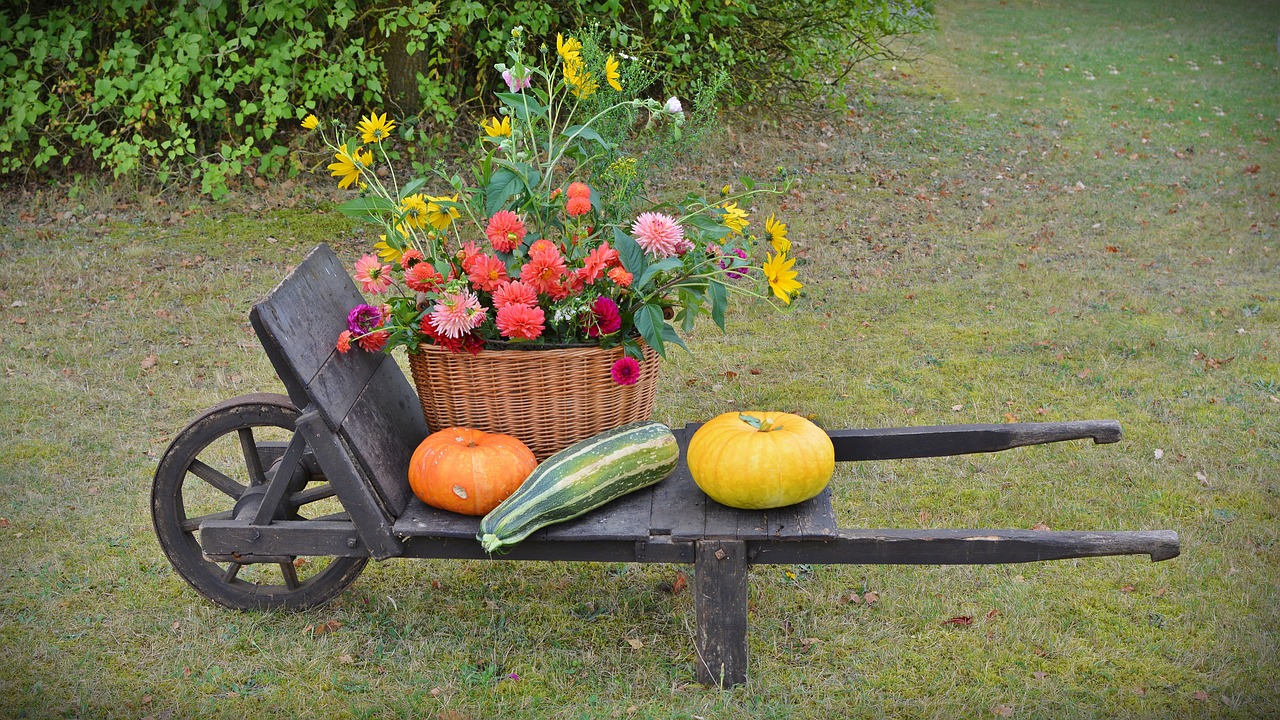 Vegetable-Flowers on Cart