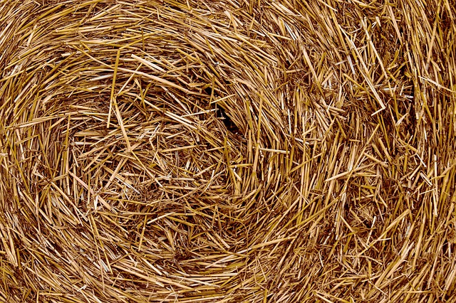 Composting Straw