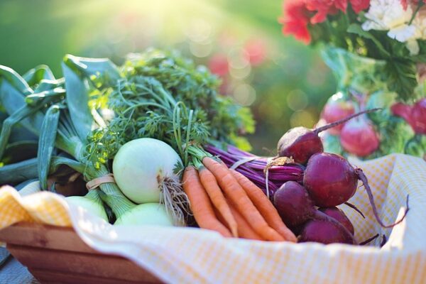 Vegetables in a basket