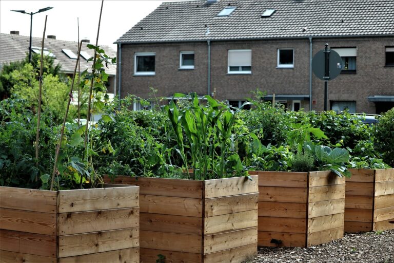 Raised Garden Beds